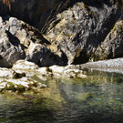 Natur 070420_2.JPG