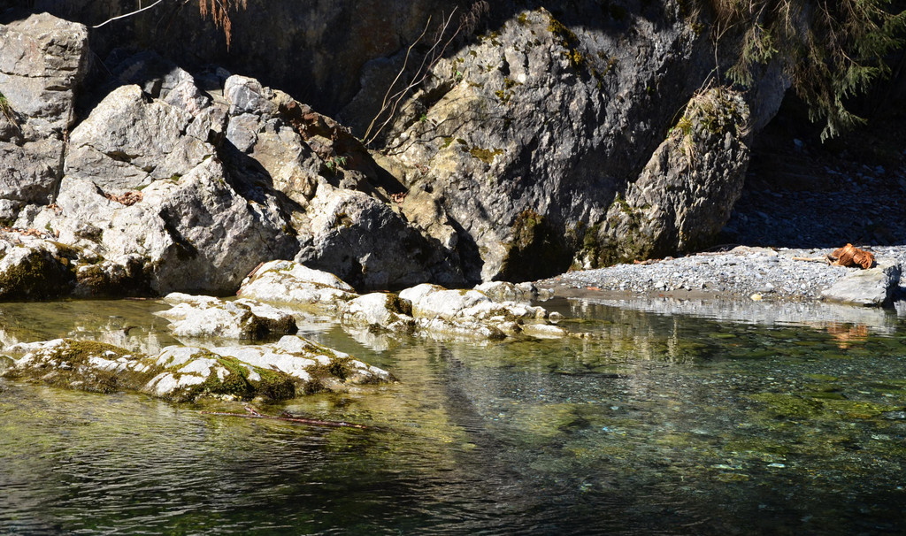 Natur 070420_2.JPG