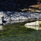 Natur 070420_3.JPG