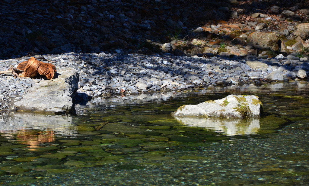 Natur 070420_3.JPG