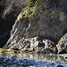 Natur 070420_4.JPG