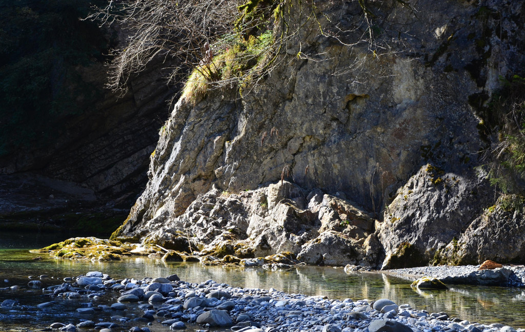 Natur 070420_4.JPG
