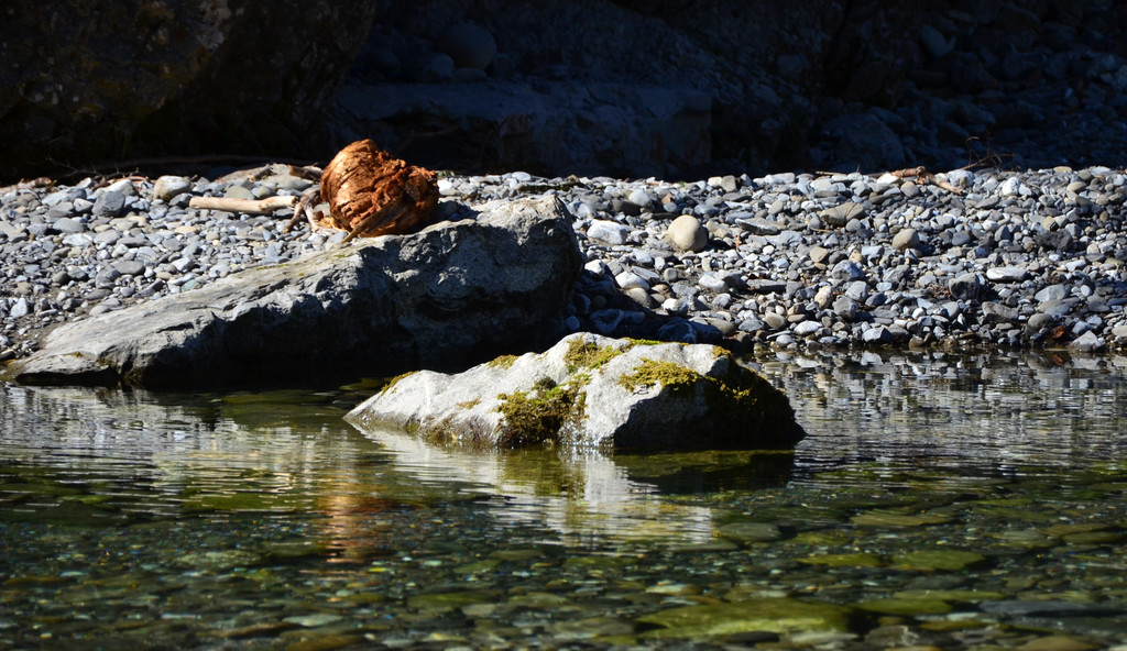 Natur 070420_5.JPG