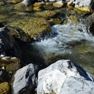Natur 070420_6.JPG