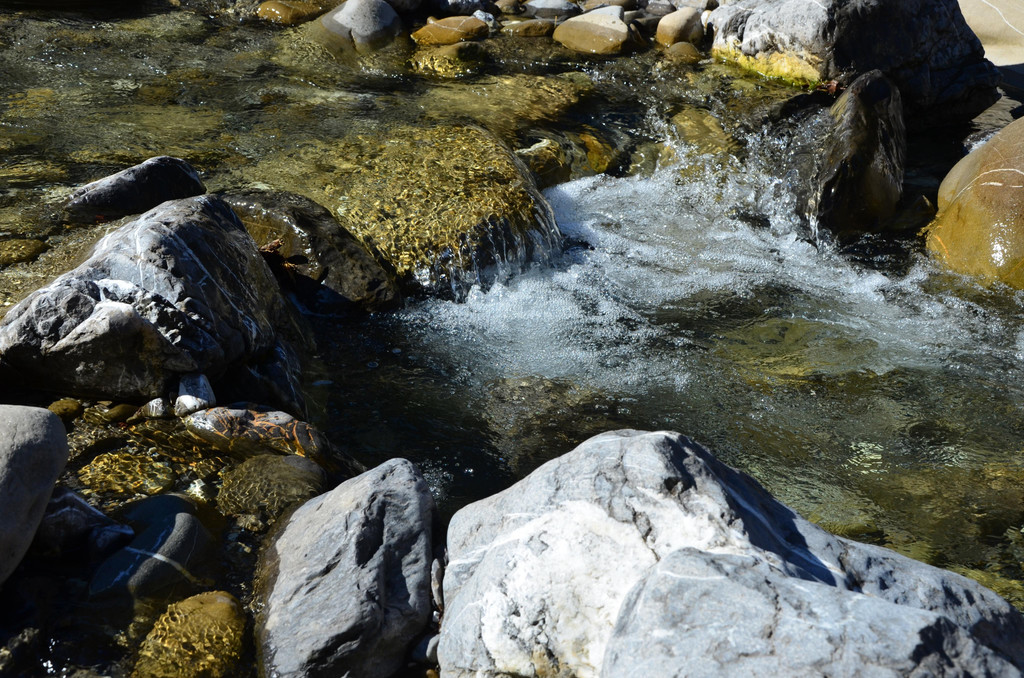 Natur 070420_6.JPG