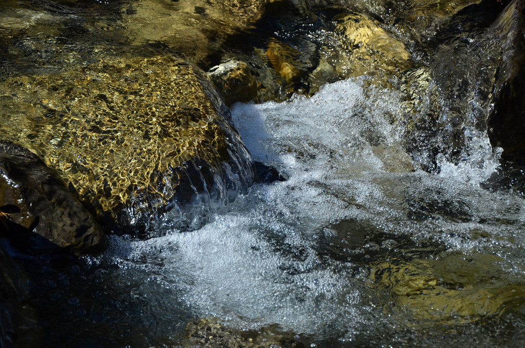 Natur 070420_7.JPG