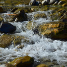 Natur 070420_10.JPG