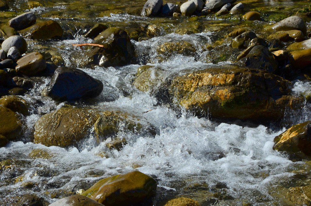 Natur 070420_10.JPG