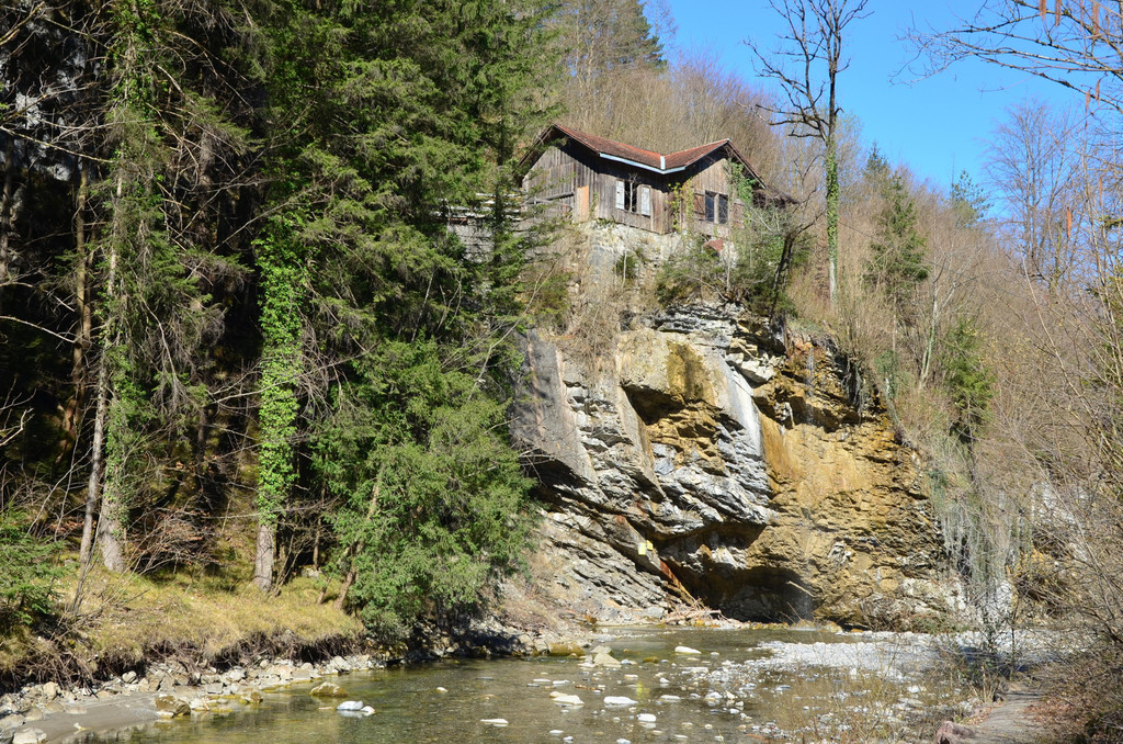 Natur 070420_12.JPG