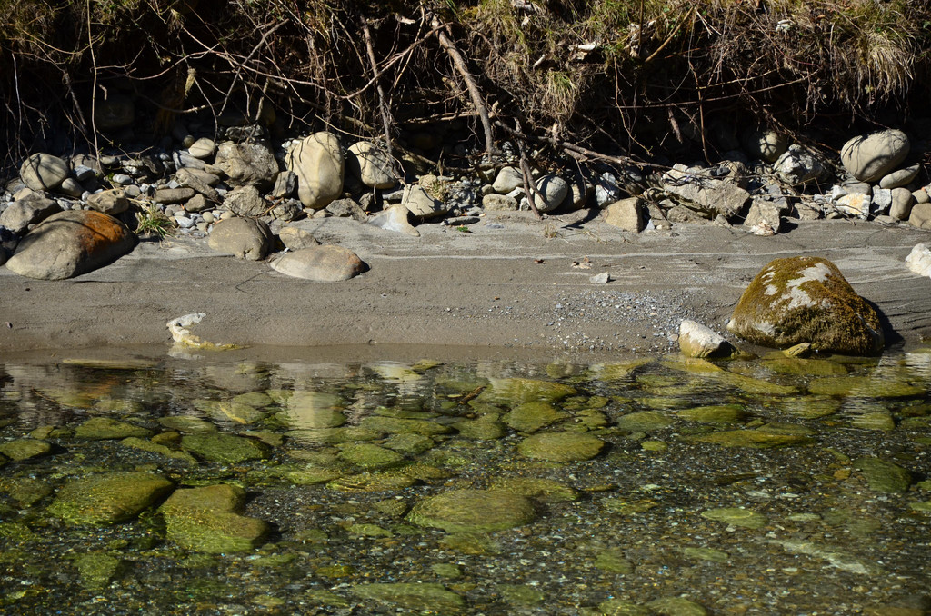 Natur 070420_13.JPG