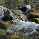 Natur 070420_17.JPG