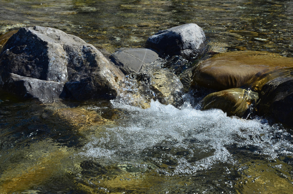 Natur 070420_17.JPG
