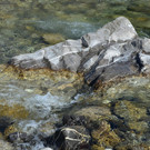 Natur 070420_20.JPG