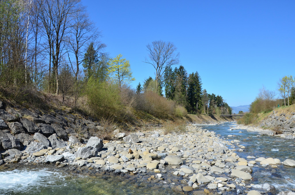 Natur 070420_21.JPG