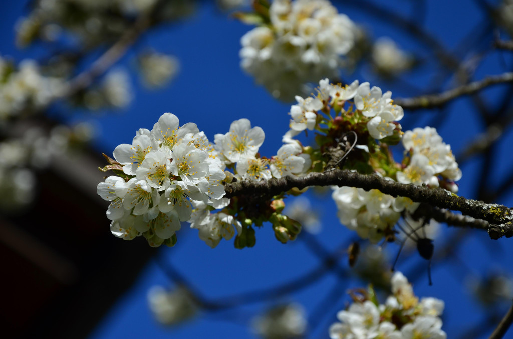 Natur 070420_24.JPG