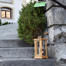 DSC_0490 _1_.jpg