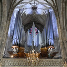ABD0020-20200412.jpg