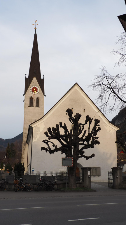 P3081766.JPG