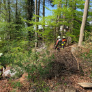 waldbrand1.jpg