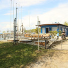 IMG_9679.JPG