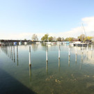 IMG_9695.JPG