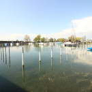 IMG_9696.JPG