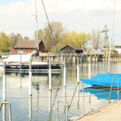 IMG_9699.JPG
