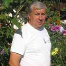 646511.jpg