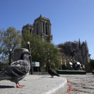 Virus_Outbreak_France_Notre_Dame_76686.jpg