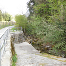 Örflaschlucht Götzis