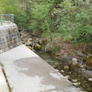 DSCI4004.JPG