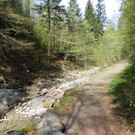 DSCI4008.JPG