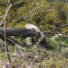 2020-04-11_0036_bearbeitet-1.jpg
