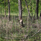 2020-04-15_0124_bearbeitet-1.jpg