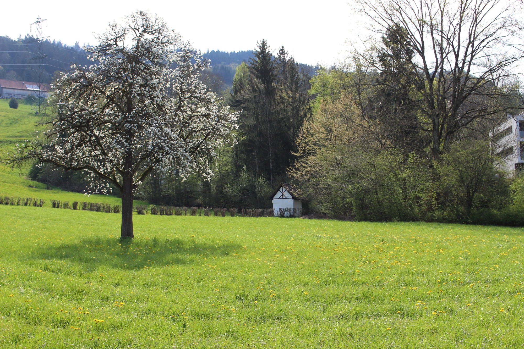 Rochus-Kapelle im Kugelbeer ANSICHTEN und GESCHICHTE 25-03-2020 _12_.JPG