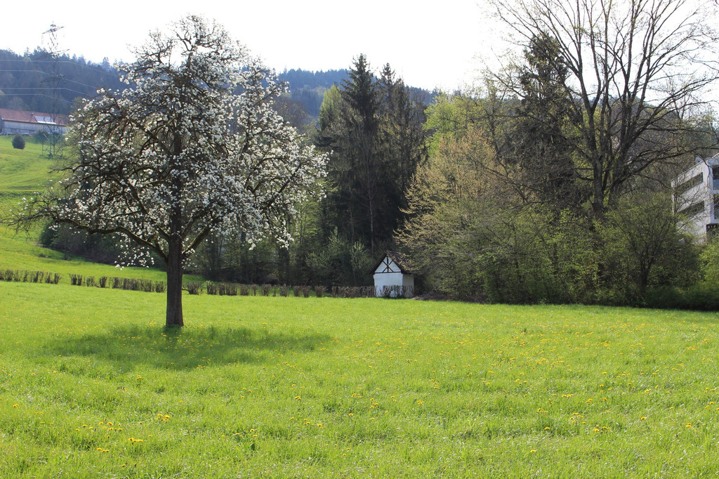 Rochus-Kapelle im Kugelbeer ANSICHTEN und GESCHICHTE 25-03-2020 _12_.JPG