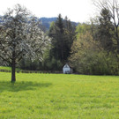 Rochus-Kapelle im Kugelbeer ANSICHTEN und GESCHICHTE 25-03-2020 _12_.JPG