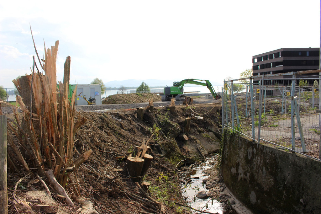 Kugelbeerbach Hochwasserschutz BF A Start 15-04-2020 _11_.JPG