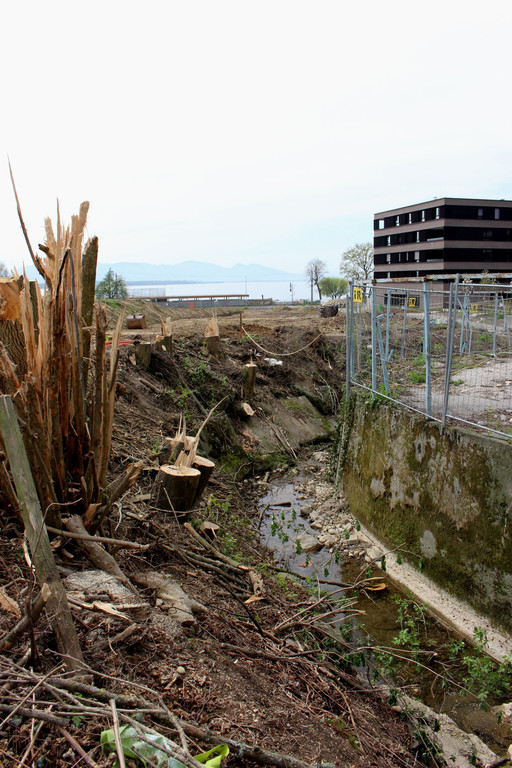 Kugelbeerbach Hochwasserschutz BF A Start 15-04-2020 _12_.JPG