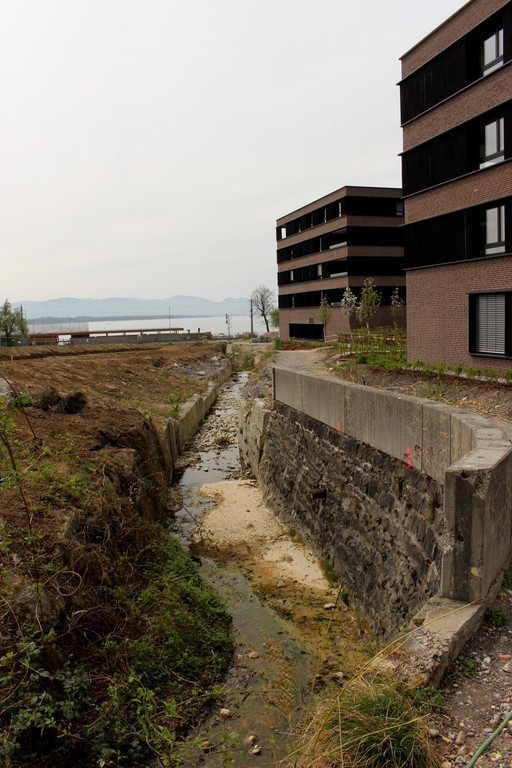 Kugelbeerbach Hochwasserschutz BF A Start 15-04-2020 _13_.JPG