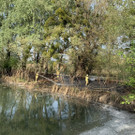 image00002.jpeg
