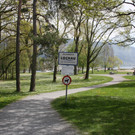 Baumpflege am See TEAM LANGEN April 2020 _15_.JPG