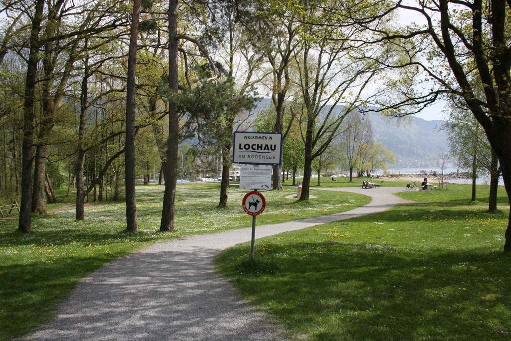 Baumpflege am See TEAM LANGEN April 2020 _15_.JPG