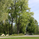 Baumpflege am See TEAM LANGEN April 2020 _4_.JPG