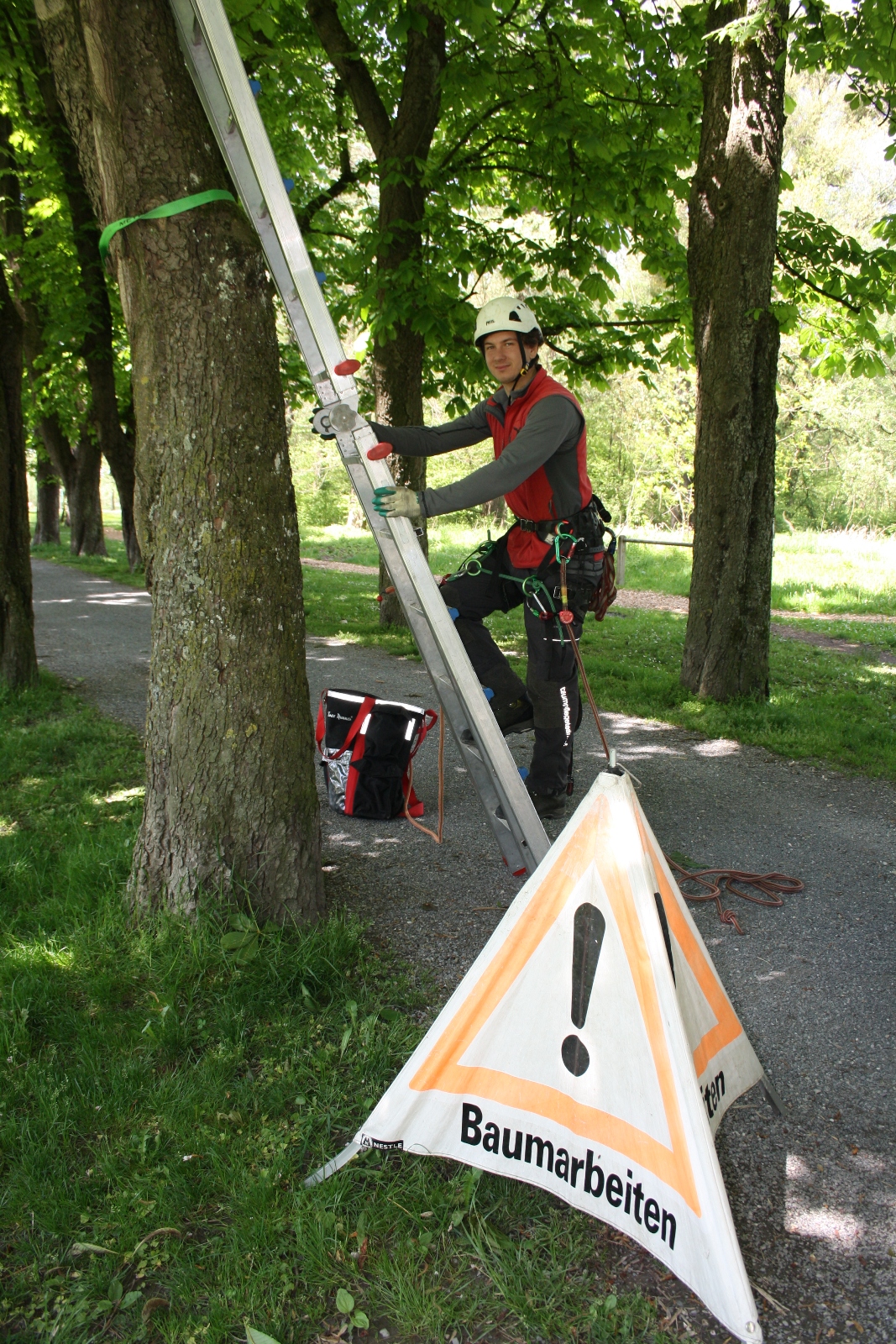 Baumpflege am See TEAM LANGEN April 2020 _1_.JPG