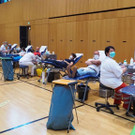 P4222540.JPG