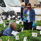 OGV Koblach _12_.JPG