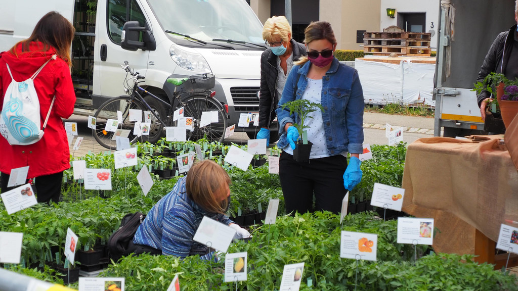 OGV Koblach _12_.JPG