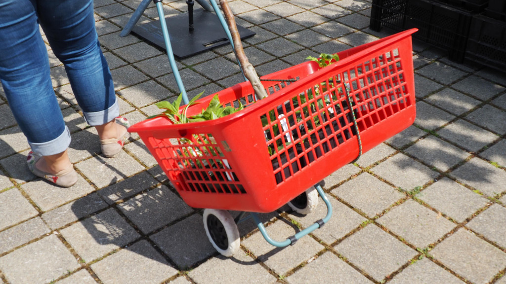 OGV Koblach _15_.JPG