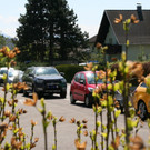 16-Bauhof _16_.JPG